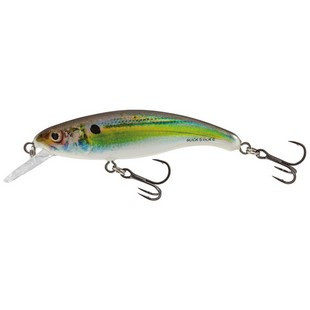 SALMO SLICK STICK 6 FLOATING RHS