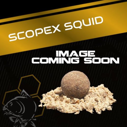 NASH Scopex Squid Signal Coated Hookbait 24mm 