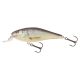 SALMO EXECUTOR 5 Floating RD Real Dace 