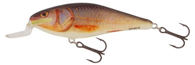 SALMO EXECUTOR 5 Floating RR Real Roach 