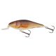 SALMO EXECUTOR 5 Floating RR Real Roach 