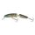 SALMO FANATIC 7 Floating RG Real Gobio