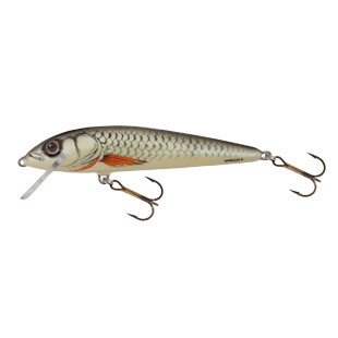 SALMO MINNOW 5 Floating D Dace 