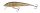 SALMO MINNOW 5 Floating RR Real Roach 