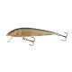 SALMO MINNOW 5 Floating RR Real Roach 