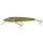 SALMO PIKE 11 Floating PE Pike 