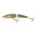 SALMO JOINTED PIKE 11 Floating RPE Real Pike 