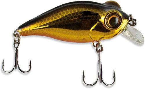 OWNER Bug Eye Bait 48 Gold Shad