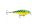 RAPALA SSR-7 SHALLOW RUNNER FT