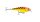 RAPALA SSR-7 SHALLOW RUNNER HT